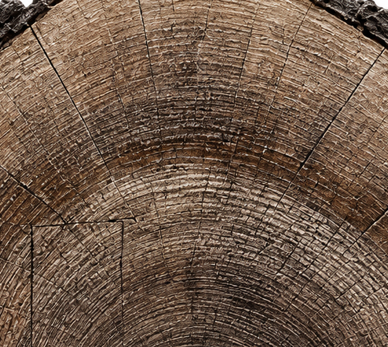 Earth Rings, an organic artwork inspired by natural sediment layers