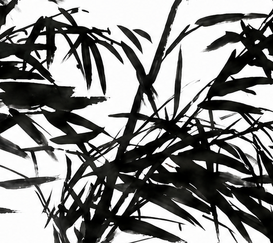 Whispering Bamboo, delicate bamboo branches painted in black ink